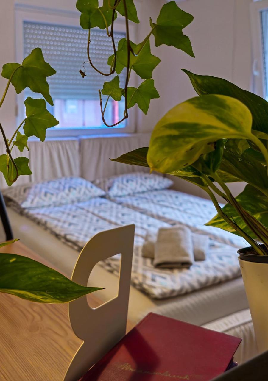 Apartmani Zrenjanin Zewnętrze zdjęcie